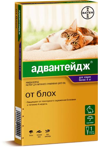 Капли от блох для кошек более 4кг Bayer Animal Health GmbH Адвантейдж, 0.8 мл