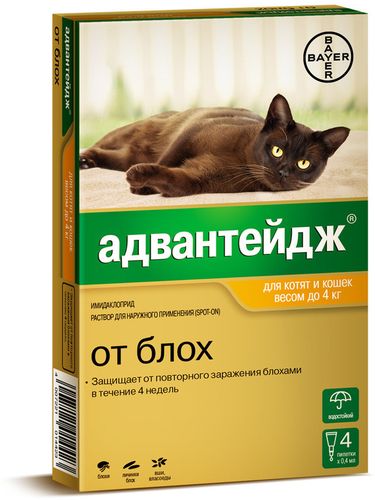 Капли от блох для котят и кошек до 4кг Bayer Animal Health GmbH, 0.8 мл