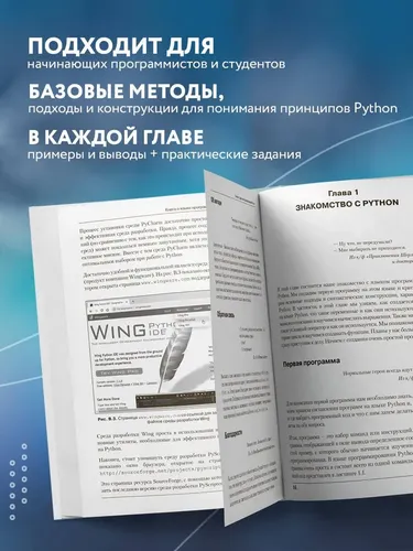 Программирование на Python в примерах и задачах | Васильев Алексей Николаевич, в Узбекистане