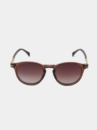 Солнцезащитные очки мужские CocoGlasses FLY-1114MUJ, Коричневый