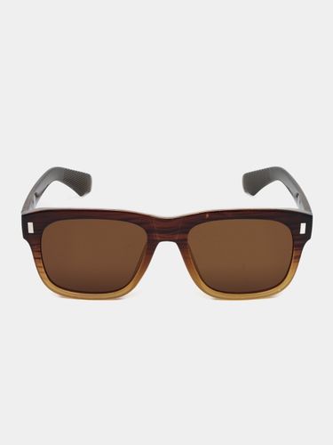 Солнцезащитные очки женские CocoGlasses FLY-H3683JN, Светло-коричневый