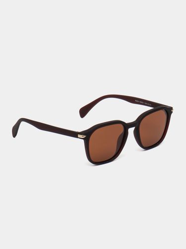 Очки мужские поляризационные CocoGlasses FLY-8301MUJ, Коричневый