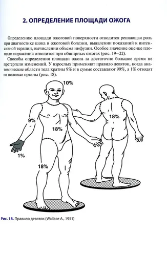 Атлас термических поражений | Шаповалов Константин Геннадьевич, в Узбекистане