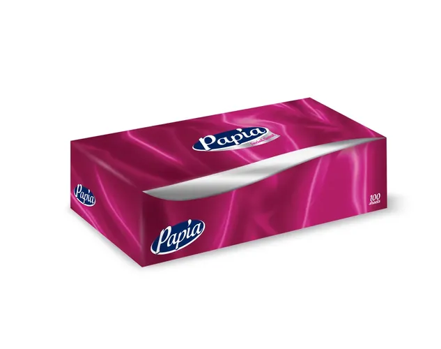 Бумажные салфетки для лица PAPIA FACIAL TISSUE, 80 шт