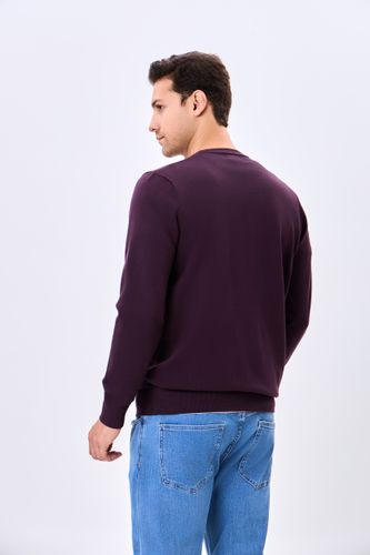 Uzun yengli jemper Terra Pro AW24CR2-29-20314, Violet, в Узбекистане