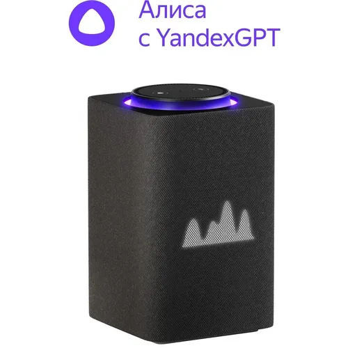 Умная колонка Яндекс станция макс YNDX-00053 62615-1, Черный