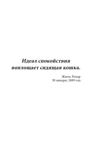 Кототерапия. Мини-раскраска-антистресс для творчества и вдохновения | Жонатр Венсан, foto