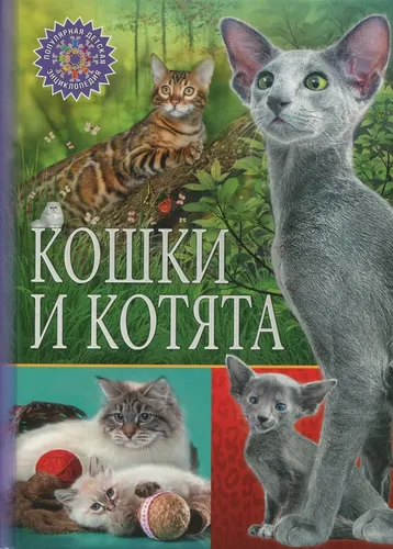 Кошки и котята | Феданова Ю.В.