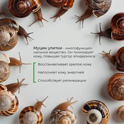 Пилинг-скатка с муцином черной улитки Ekel Black Snail, 180 мл, в Узбекистане