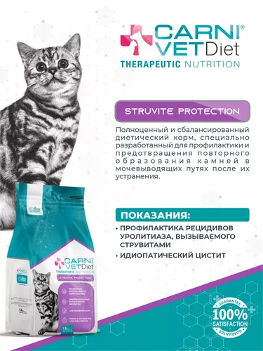 Mushuklar uchun dorivor yem MAYA FAMILY CarniVetDiet struvite protection, 1.5 kg, купить недорого