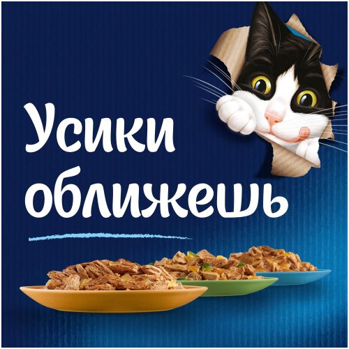 Влажный корм для кошек Felix Sensations лосось и треска, 10 шт, 85 гр, в Узбекистане