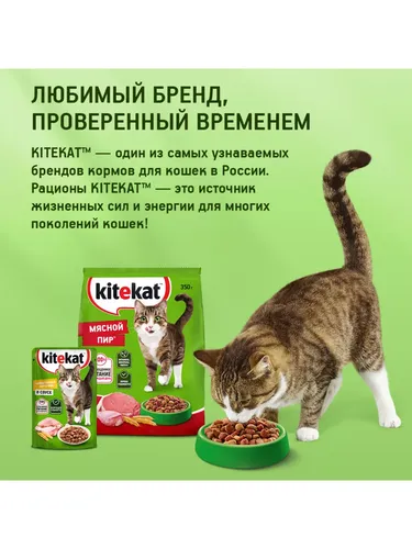 Сухой корм для кошек Kitekat Телятинка аппетитная, 350 гр, фото