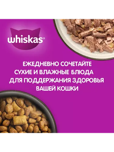 Корм для кошек Whiskas Аппетитное ассорти с курицей и индейкой, 13.8 кг, купить недорого