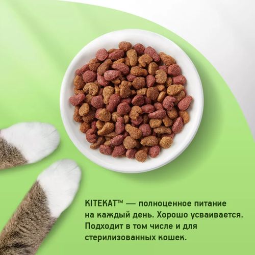 Сухой корм для кошек Kitekat с аппетитной телятиной, 15 кг, sotib olish