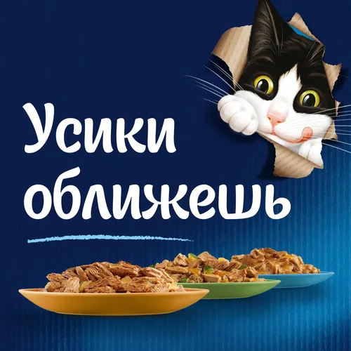 Влажный корм для кошек Felix Sensations Индейка в соусе со вкусом бекона, 75 гр, фото № 4