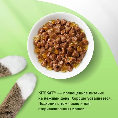 Влажный корм для кошек Kitekat Сочная говядина в желе, 85 гр, в Узбекистане