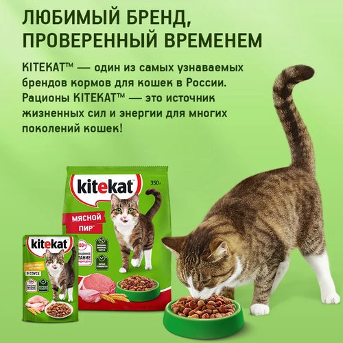 Влажный корм для кошек Kitekat говядина в соусе, 85 гр, sotib olish