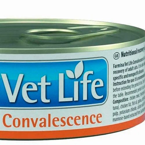 Влажный корм для взрослых кошек Farmina Vet Life Cat Convalescence После болезни, 85 гр, купить недорого