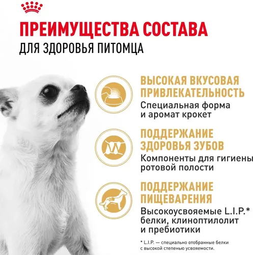 Сухой корм для собак породы чихуахуа Royal Canin Chihuahua, 500 гр, фото