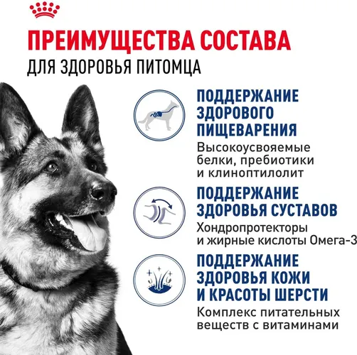 Сухой корм для собак крупных пород Royal Canin Maxi Adult, 20 кг, в Узбекистане