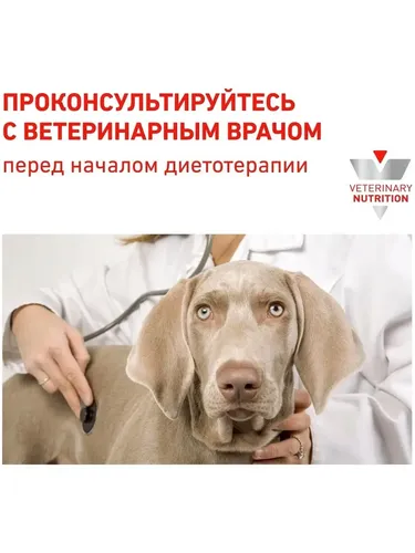 Влажный корм для собак Royal Canin Early Renal При болезни почек, 100 гр, фото