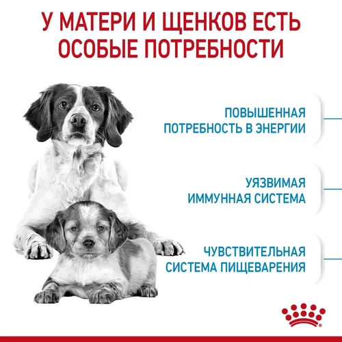 Сухой корм для щенков и беременных собак средних пород Royal Canin Medium Starter, 16 кг