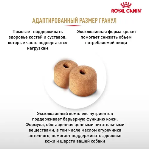 Сухой корм для собак породы Лабрадор-ретривер Royal Canin Labrador Retriever, 13 кг, 122200000 UZS