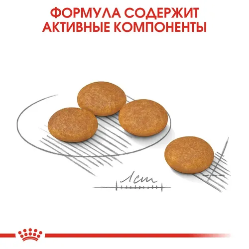 Сухой корм для собак мелких пород Royal Canin Mini Dermacomfort, 8 кг, фото