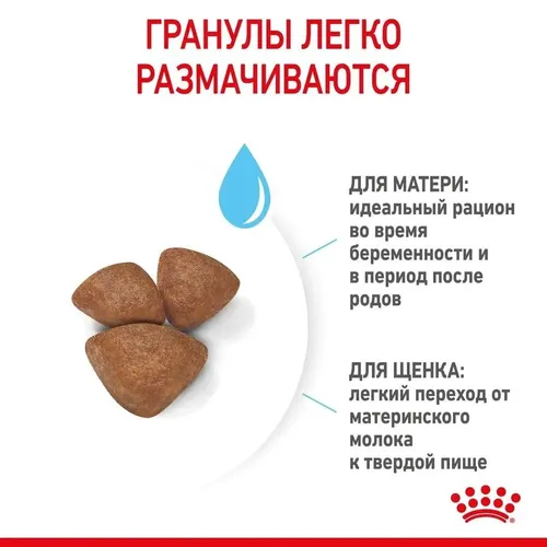 Корм для щенков, беременных и кормящих собак Royal Canin Mini Starter, 16 кг, sotib olish