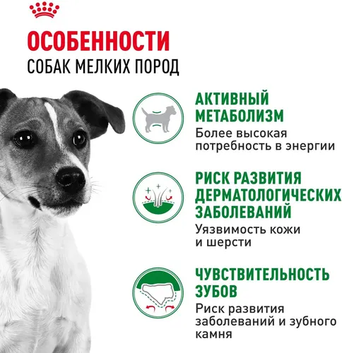 Сухой корм для собак малых пород Royal Canin Mini Adult с птицей, 8 кг, в Узбекистане