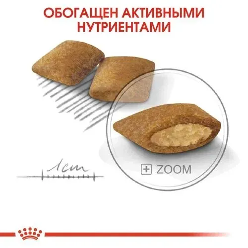 Сухой корм для собак маленьких пород Royal Canin Mini Exigent, в Узбекистане