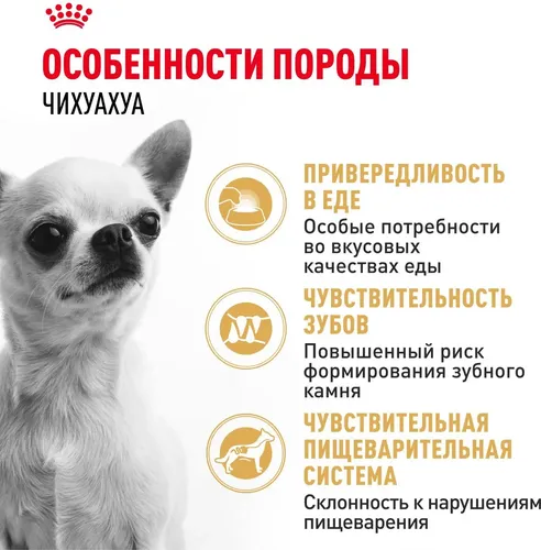 Сухой корм для собак породы Чихуахуа Royal Canin Chihuahua, 1.5 кг