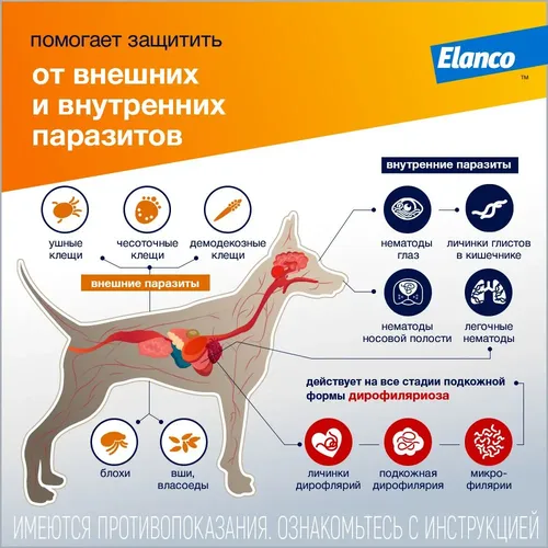 Капли на холку от паразитов для собак Elanco Адвокат весом более 25 кг, фото № 4