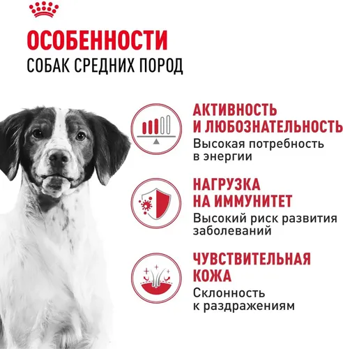 Сухой корм для собак средних пород Royal Canin Medium Adult, 16 кг