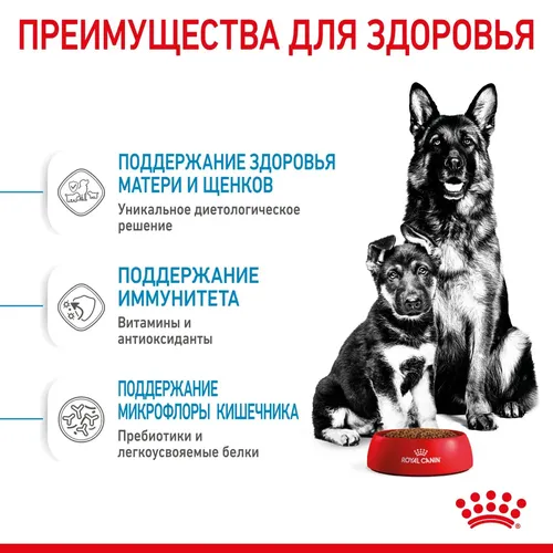 Сухой корм для щенков и беременных собак крупных пород Royal Canin Starter, 15 кг, в Узбекистане