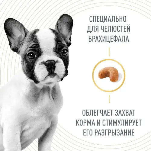 Сухой корм для щенков породы Французский бульдог Royal Canin BHN French Bulldog Puppy, 3 кг, в Узбекистане