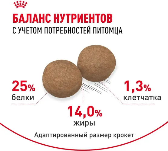 Сухой корм для собак средних пород Royal Canin Medium Adult, 16 кг, sotib olish