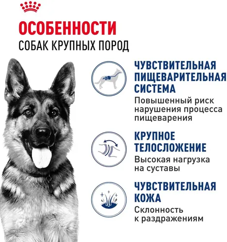 Сухой корм для собак крупных пород Royal Canin Maxi Adult, 20 кг, купить недорого