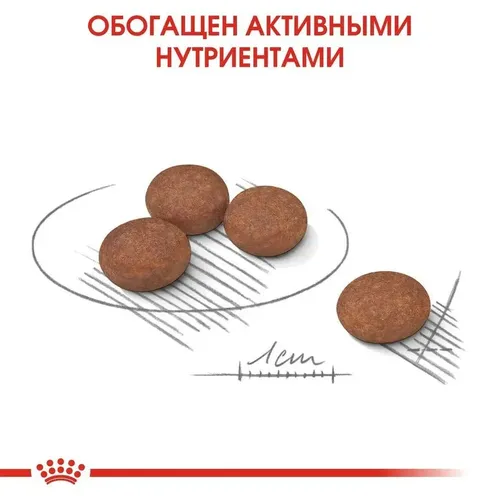 Сухой корм для собак маленьких пород Royal Canin Mini Degistive Care При чувствительном пищеварении, 8 кг, фото