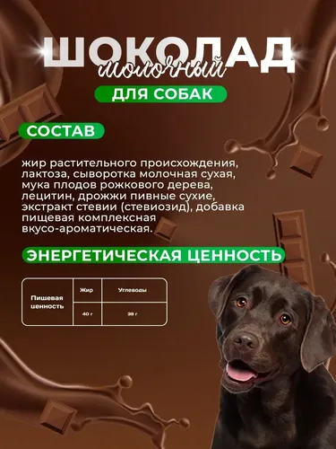 Лакомство для собак Veda Choco Dog молочный шоколад, 15 гр, купить недорого