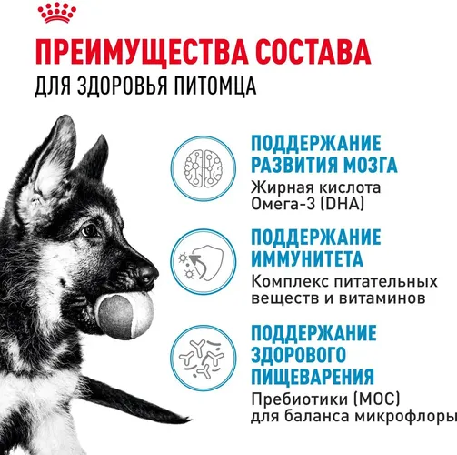 Сухой корм для щенков крупных пород Royal Canin Maxi Puppy, 20 кг, купить недорого