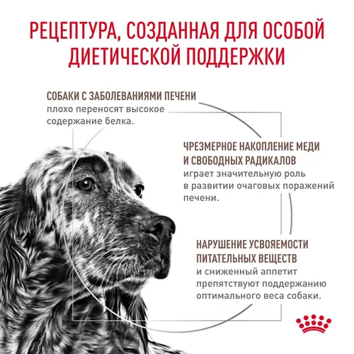 Сухой корм для собак Royal Canin Hepatic при заболеваниях печени, 6 кг, купить недорого