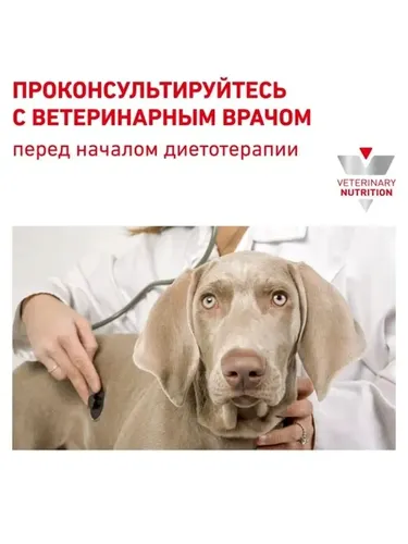 Itlar uchun ozuqa Royal Canin Cardiac yurak yetishmovchiligida, 2 kg, в Узбекистане