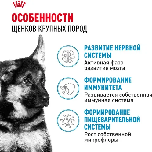 Сухой корм для щенков крупных пород Royal Canin Maxi Puppy, 20 кг, купить недорого