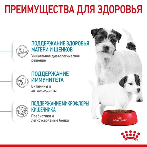 Сухой корм для щенков, беременных и кормящих собак Royal Canin Mini Starter, 20 кг, в Узбекистане