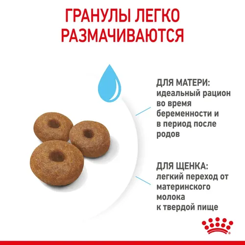 Сухой корм для щенков и беременных собак крупных пород Royal Canin Starter, 15 кг, 152000000 UZS