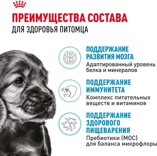 Сухой корм для щенком малых пород Royal Сanin Mini Puppy, 8 кг, в Узбекистане