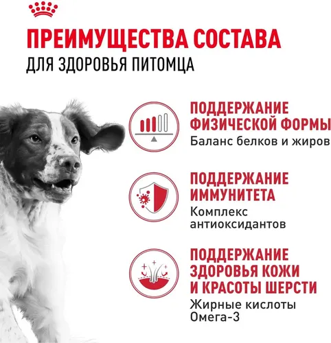 Сухой корм для собак средних пород Royal Canin Medium Adult, 16 кг, в Узбекистане