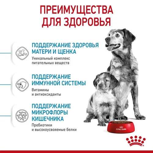 Сухой корм для щенков и беременных собак средних пород Royal Canin Medium Starter, 16 кг, в Узбекистане