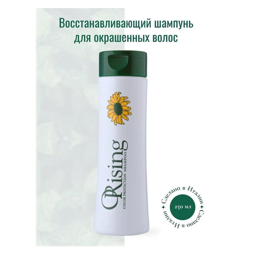 Shampun ORising bo'yalgan sochlar uchun, 250 ml, купить недорого